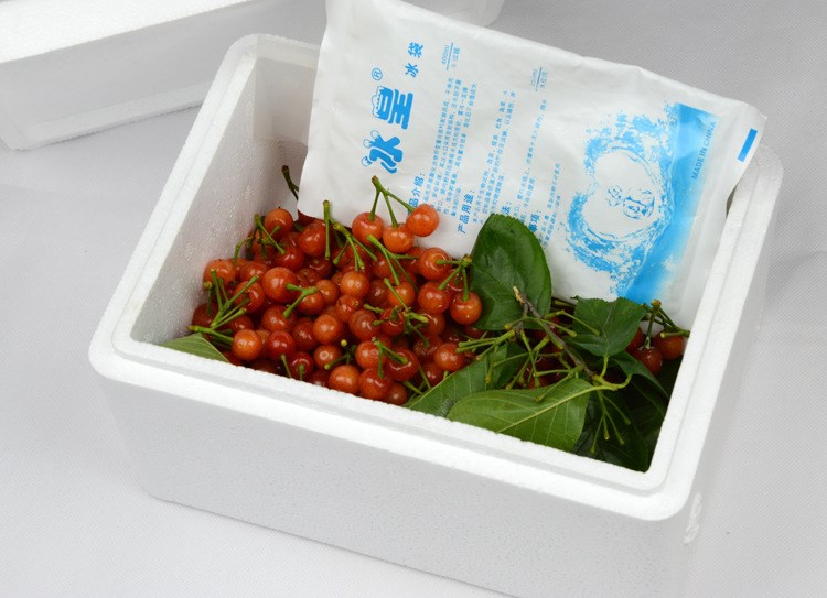 生产加工各种规格中高端泡沫箱，医药保温箱