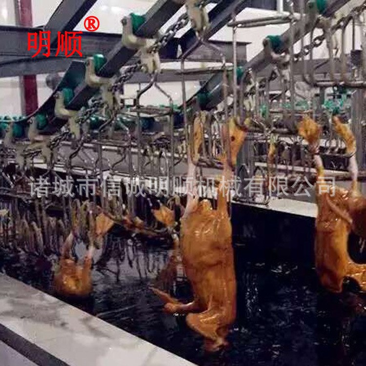 A诸城明顺屠宰设备厂家 全自动肉鸭宰杀线 临沂杀鸭厂专用设备