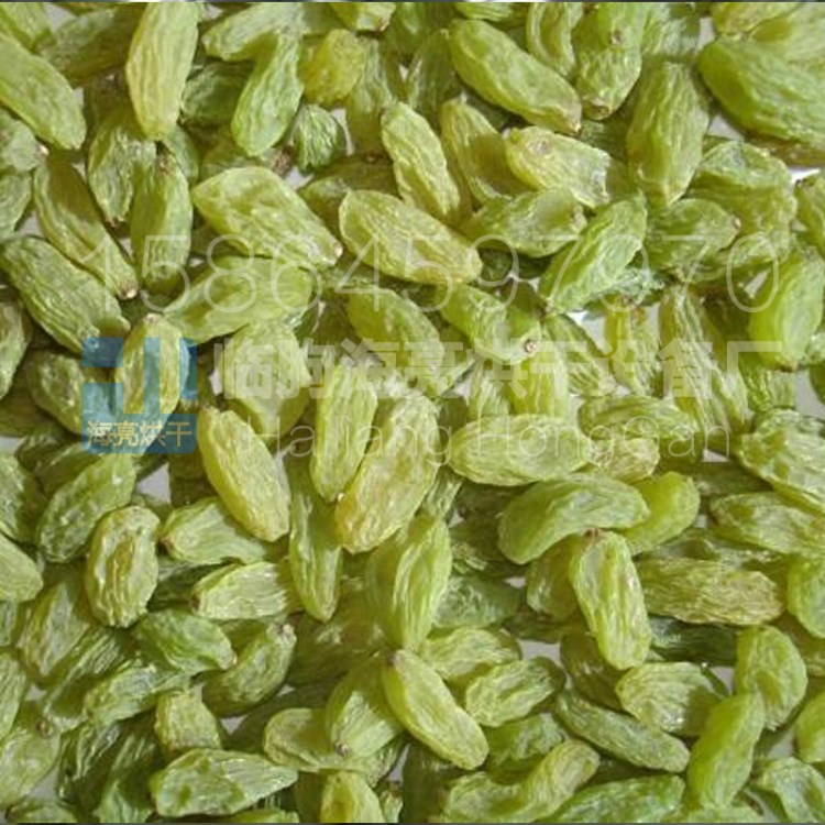 厂家生产干燥果肉果干设备 果脯烘干房 坚果烘干箱 果品烘干机