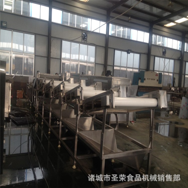 自动去泥去杂设备 净菜生产加工设备 果蔬清洗机 胡萝卜清洗机