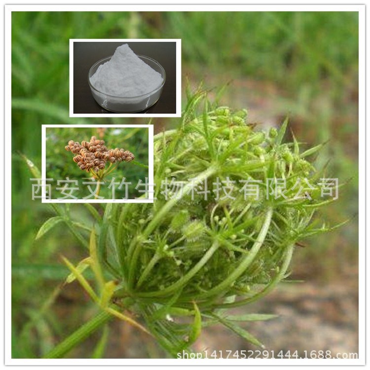 蛇床子提取物 484-12-8 蛇床子素98% UV