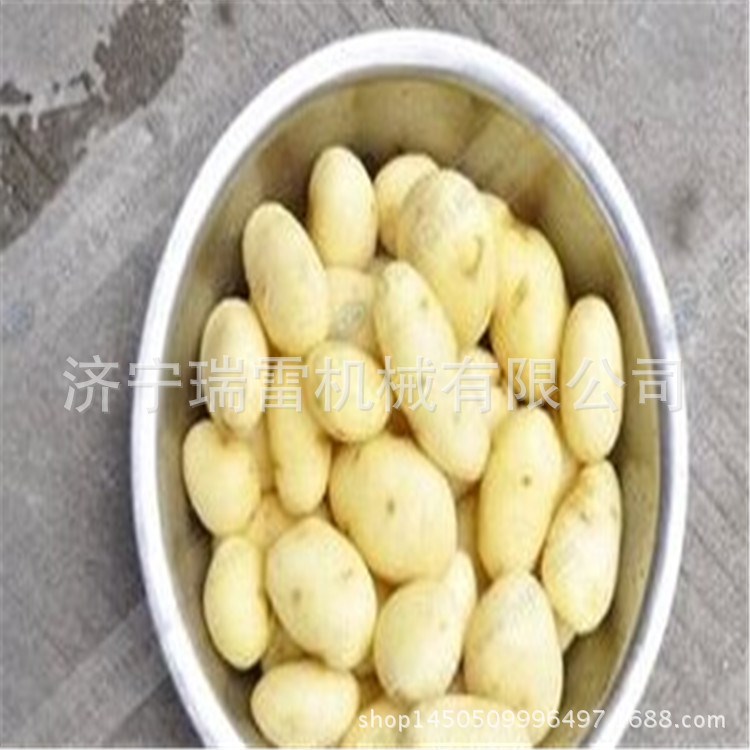 小型土豆脱皮机 全自动土豆剥皮机 多功能去皮机 厨房设备