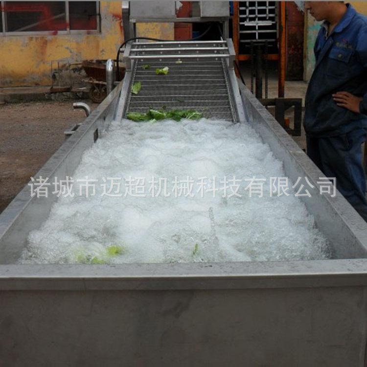 草莓气泡清洗机 全自动洗菜机 可定制批发 不锈钢 稳定耐用