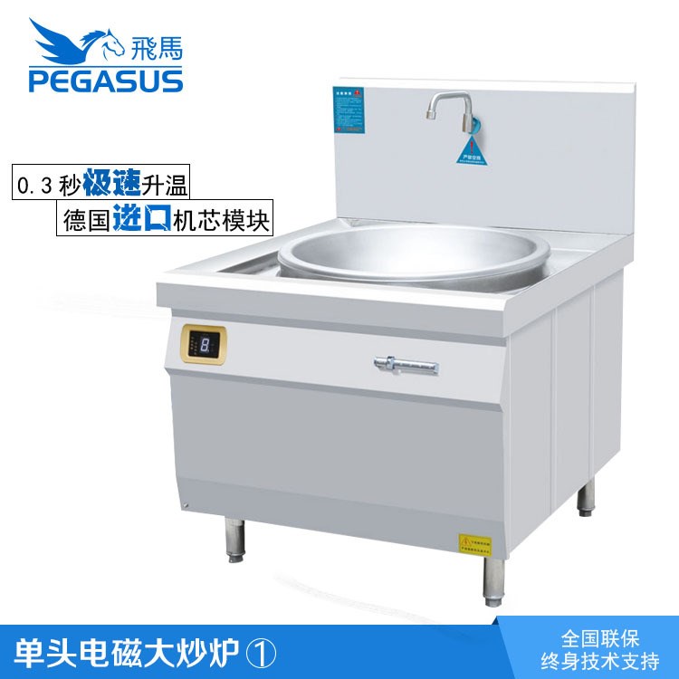 飞马电热燃气商用功率电磁单眼大锅灶节能炒炉不锈钢厨具工厂设备