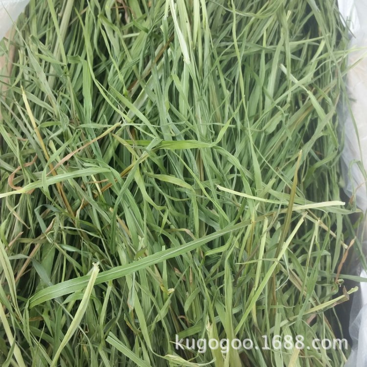 南提 提摩西草 牧草 兔粮 龙猫粮食 叶多 杆子少加包装1kg