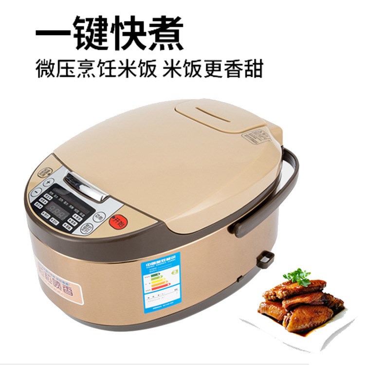 厂家直销 5L多功能电饭锅 智能预约电饭煲  小家电净水器会销礼品