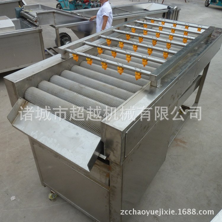 供应果蔬脱盐清洗机 不锈钢果蔬脱盐清洗机 神州机械制作厂家