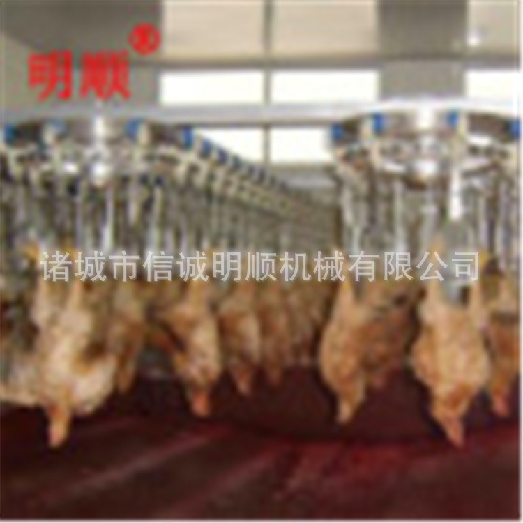 F 禽类屠宰机械流水线 家禽脱毛机|烫毛机，脱毛干净