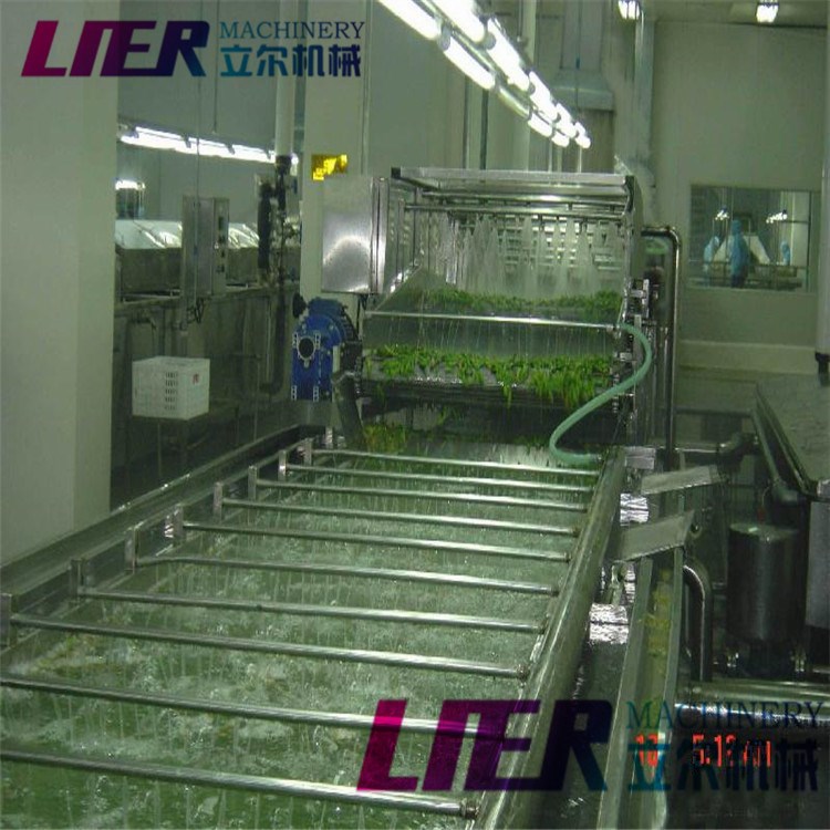 菠菜气泡清洗机 果蔬清洗设备 立尔机械厂家销售 根据客户要求定