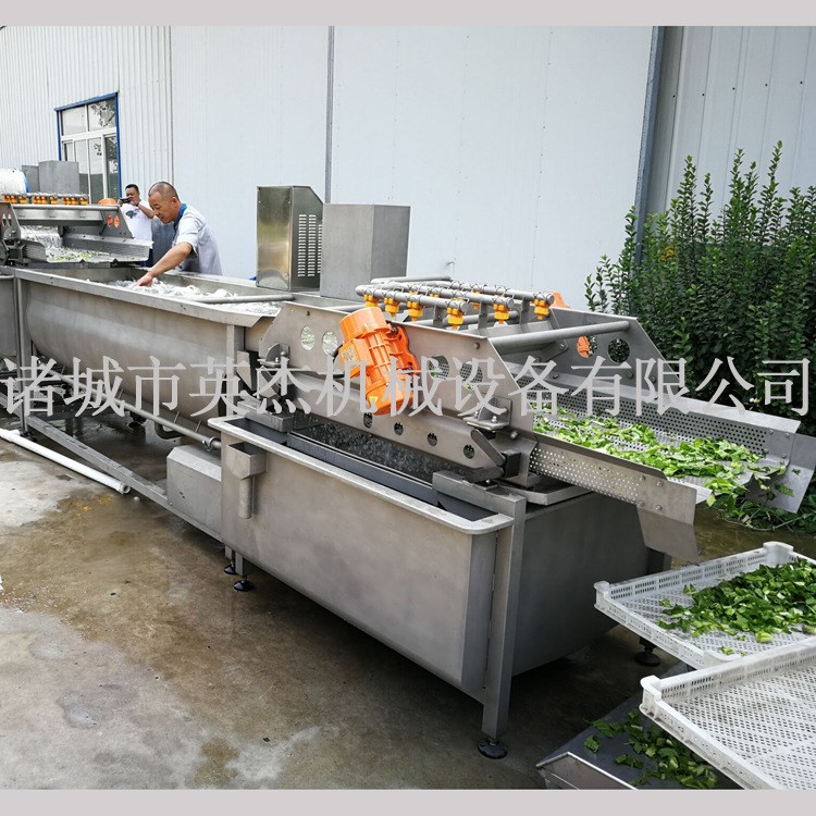 芹菜菠菜臭氧清洗机设备 叶菜类蔬菜清洗加工生产线 净菜加工设备