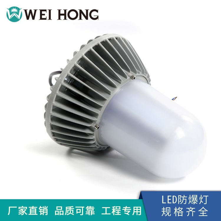 应急加油站led防爆灯投光灯 煤矿防爆仓库工矿灯 WHD601led平台灯