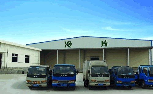 亳州冷冻库冷库安装厂家  亳州冷冻库冷库安装经营部