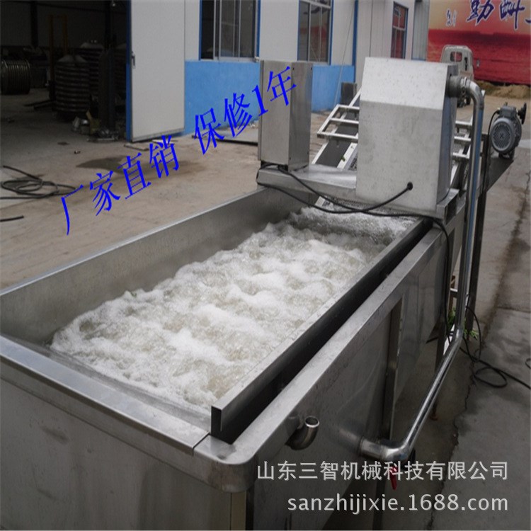 厂家直销蔬菜清洗机 黄桃罐头生产设备 水果清洗机