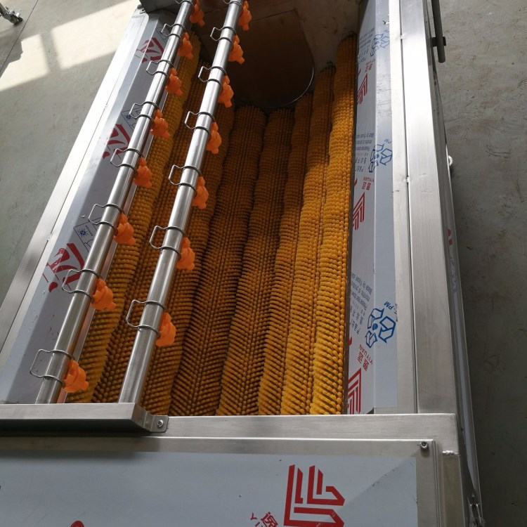 土豆清洗去泥机 芋头红薯毛辊清洗机 大姜去皮清洗机