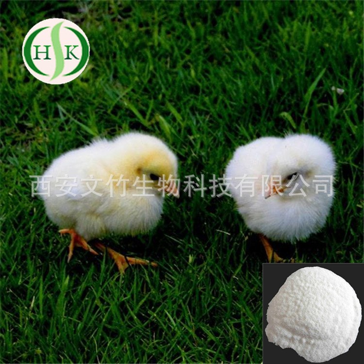文竹生物 胶原蛋白Ⅱ型  复合骨胶原