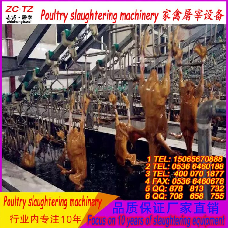 家禽专用松香浸蜡池 挂蜡脱小绒毛设备 鸭子鹅净小毛沾蜡池