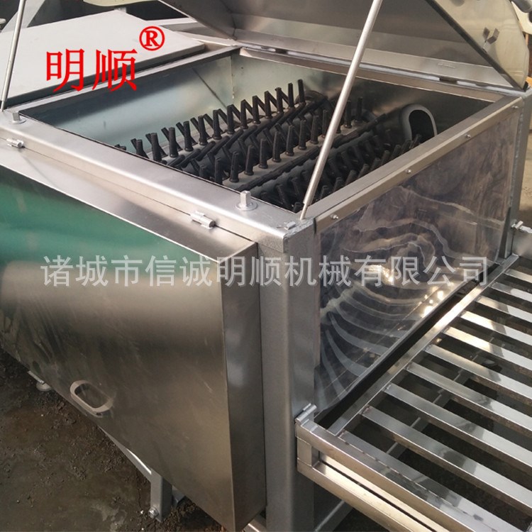 y供应小型家禽拔毛机鸡鸭鹅打毛机快速干净性价比高厂家批发