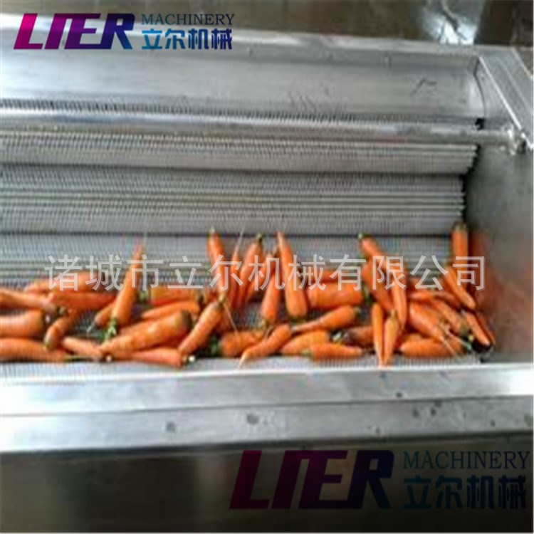 诸城立尔红薯毛刷清洗脱皮机 毛辊清洗机