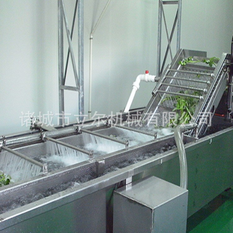 洗菜机全自动洗菜机器 蔬菜水果水洗机器 杂质清洗处理机器工厂用