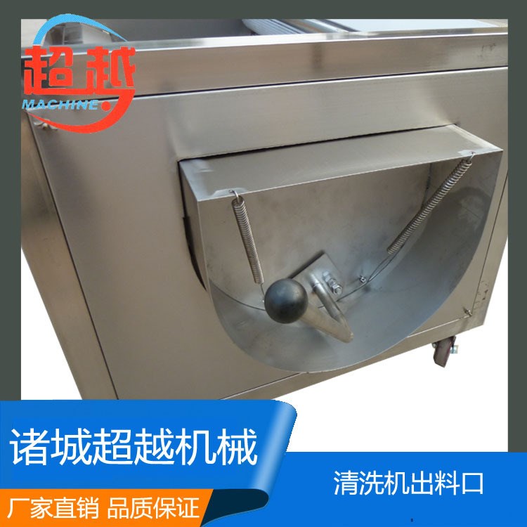 大中小型 毛刷清洗去皮机 土豆 红薯 脱皮清洗机 厂家直销