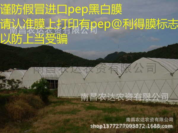 光伏农业大棚 pep利得膜  食用菌大棚黑白膜 利得膜 黑白膜