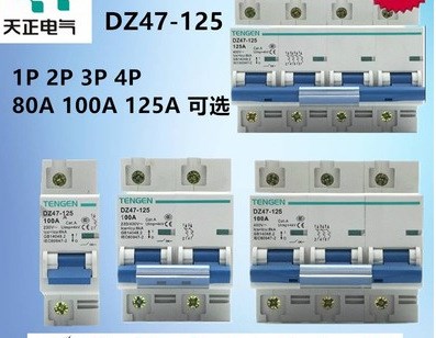 天正断路器DZ47-125 1P 2P 3P 4P空气开关 100A 12 大功率D型