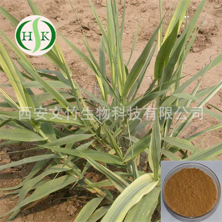 文竹生物 茅针提取物 白茅根提取物