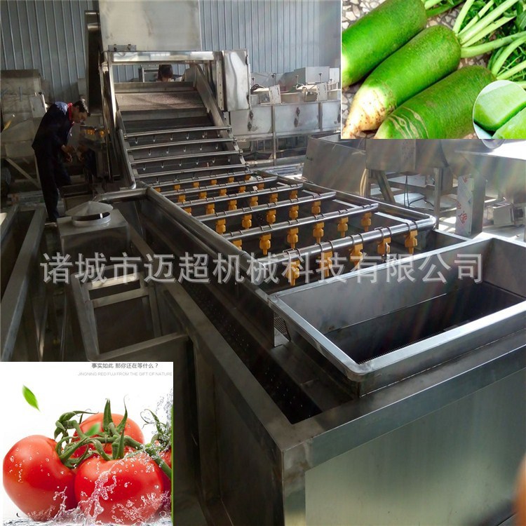 迈超多功能蔬菜清洗机 气泡清洗设备 清洗去皮机 果蔬清洗机