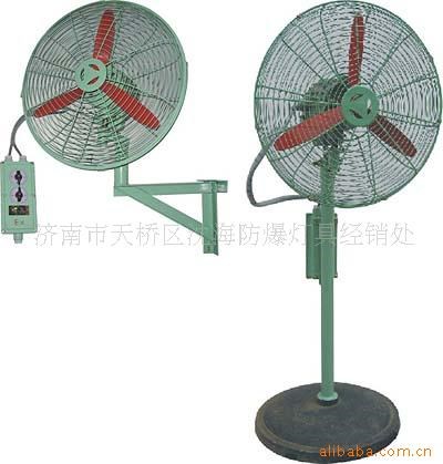 供应BTS 系列防爆摇头壁扇