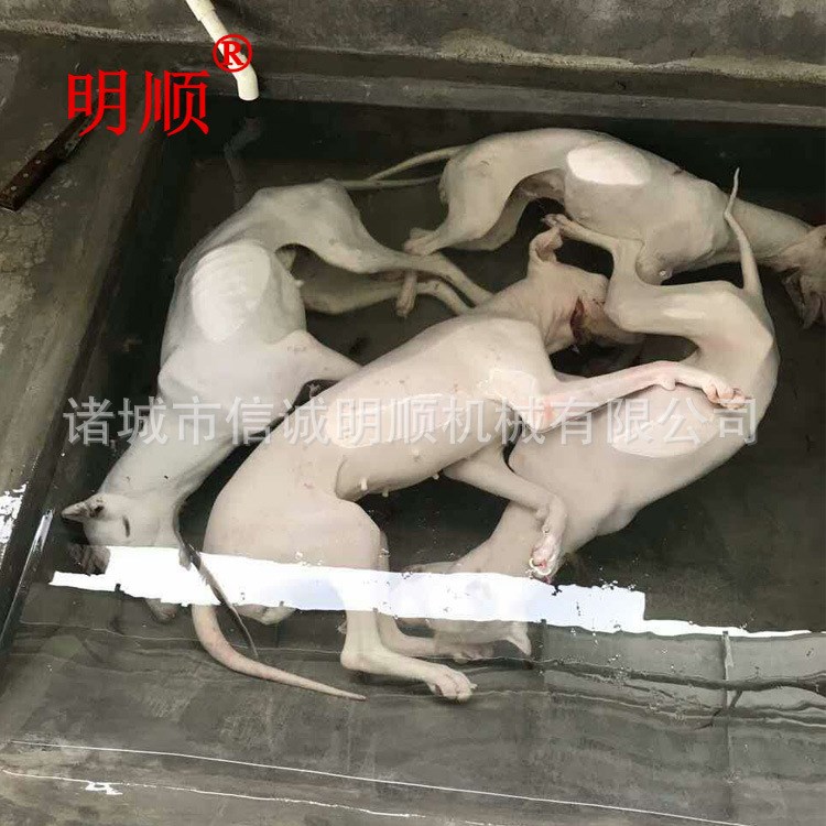 L脱狗毛机器全自动狗脱毛机羊屠宰流水线自动上羊品质