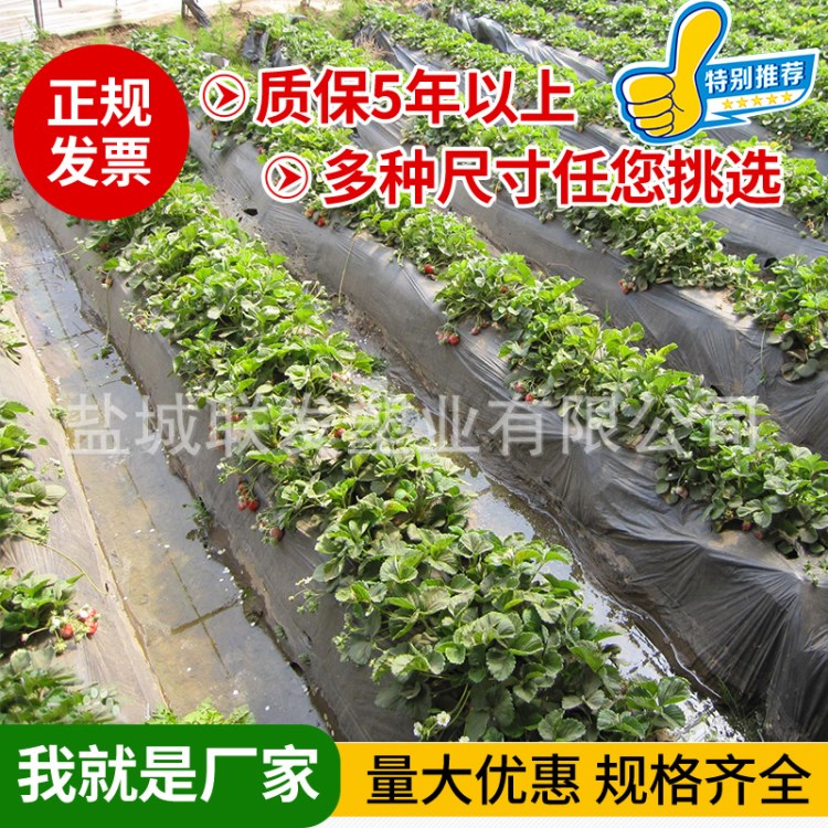 厂家批发加厚温室无滴膜大棚膜PE膜灌浆无滴膜大棚塑料薄膜