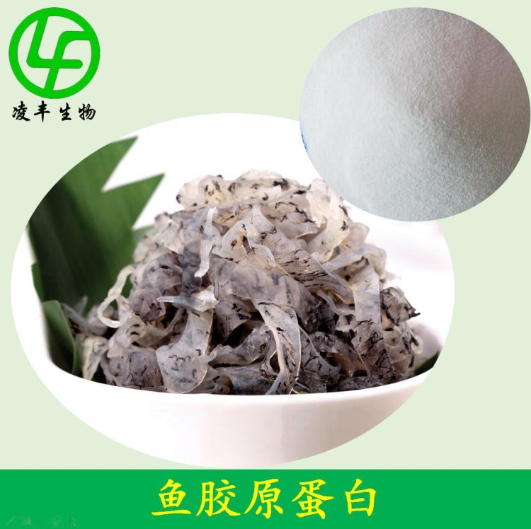 深海鱼胶原蛋白 鳕鱼鳞鱼皮胶原蛋白粉 罗非鱼鱼胶原蛋白