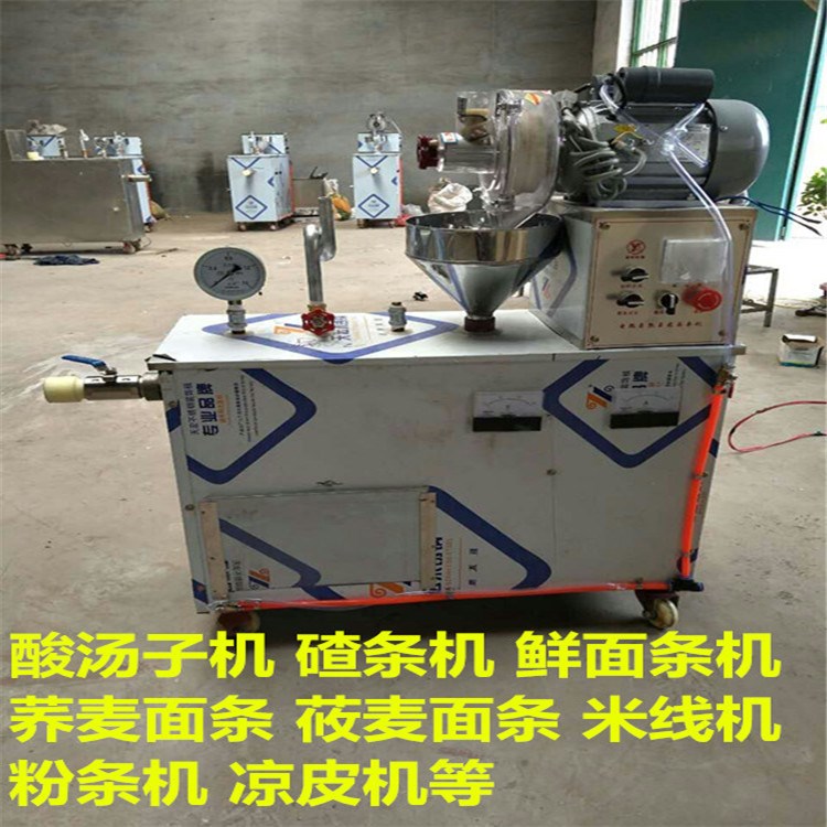 智能玉米面条机(自熟式玉米面条加工设备) 木薯粉条机 碴条机