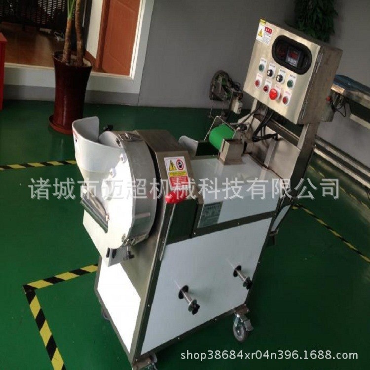 双头多功能切菜机叶菜根茎类蔬菜切割 切片切丝 多功能切菜机商用