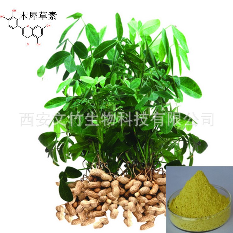 花生壳提取物 木犀草素98% 黄色黄素 Luteolin 491-70-3 文竹生物