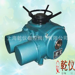 DZW-10 DZW-10-24 电动执行器 电动装置 电动头