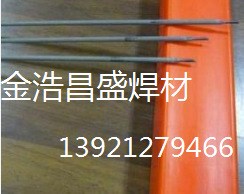 代销司太立钴基D112合金耐磨焊条 Co106司太立钴基焊条