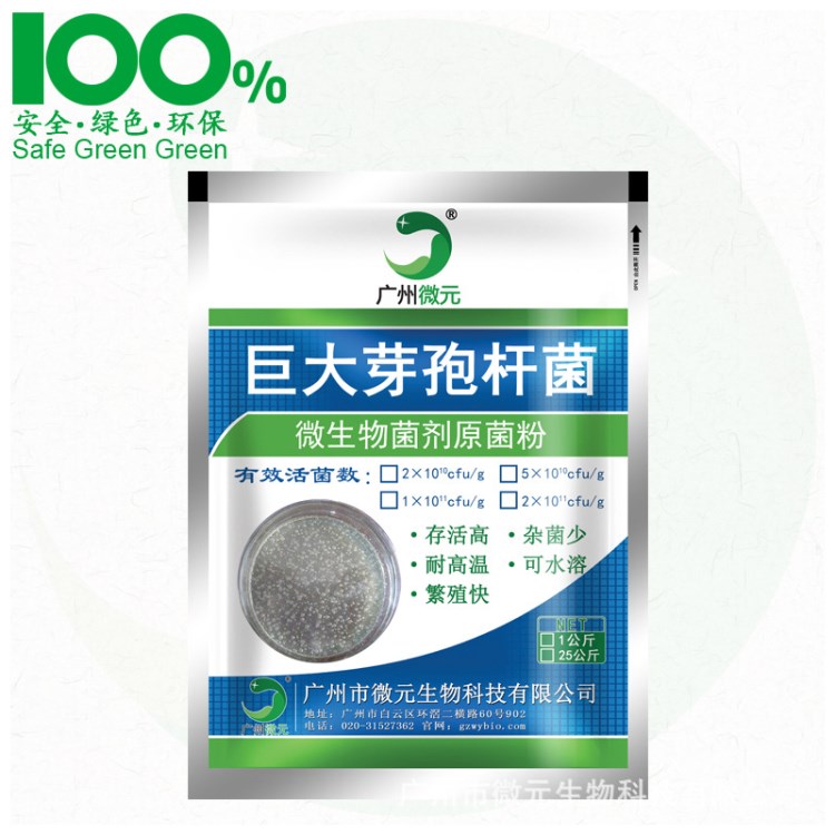 巨大芽孢杆菌有机肥料发酵添加功能菌 巨大芽孢杆菌原菌粉发酵菌