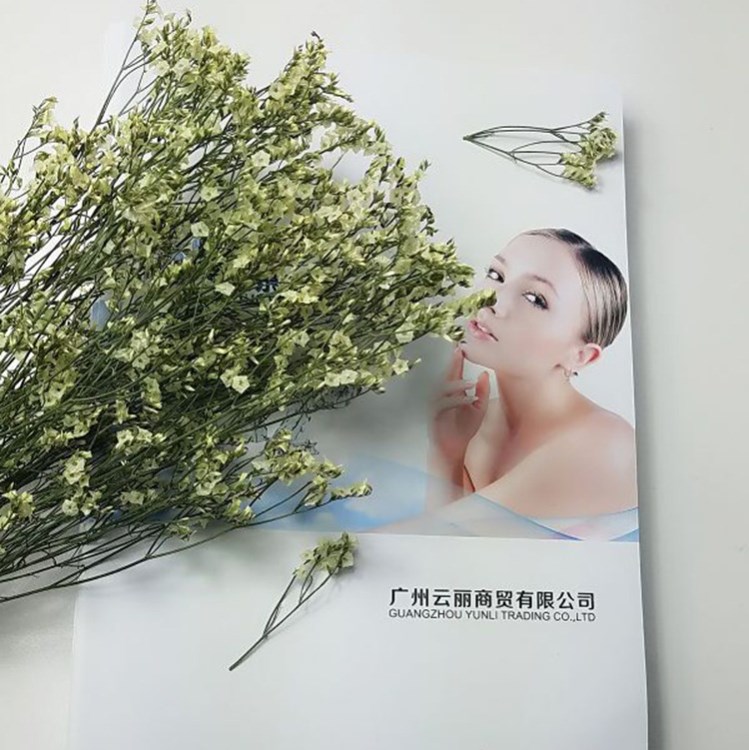 供应天然风干  水晶草干花束  真花  化妆品级