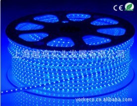 工厂大量批发 柔性高压光条LED SMD5050 RGB LED软光条 多种变色