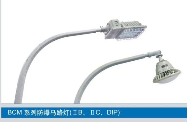供应BCP系列防爆平台灯，路灯，（IIB、