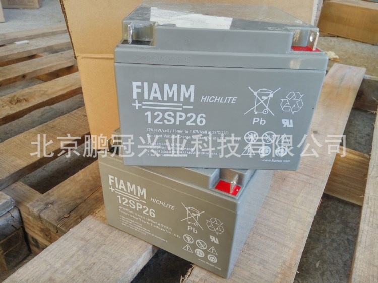 意大利非凡蓄电池12 FLB 300应急电源 FLAMM电池12V7H