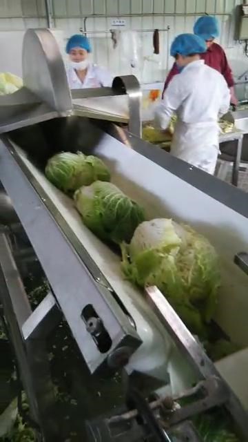 厂家生产卷心菜劈半机 包菜劈半机价格 菜花劈半机