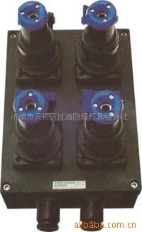 供应BXS8030系列防爆防腐电源插
