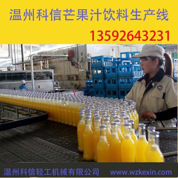 成套芒果汁饮料生产线 小型芒果汁饮料灌装机 芒果汁加工制作设备
