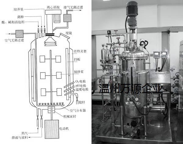 生产定制 万源生物发酵罐  发酵罐设备 食品、饮料加工设备