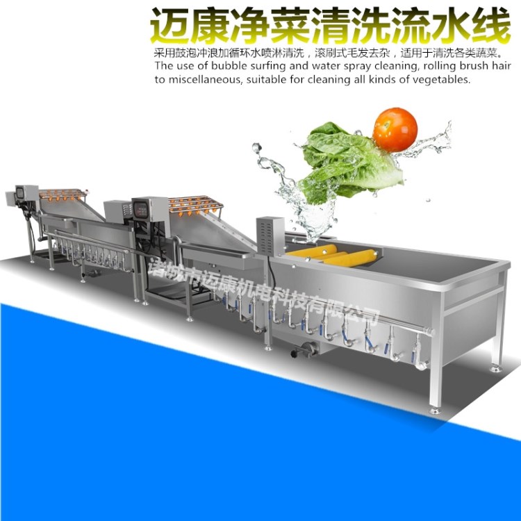 臭氧消毒水果蔬菜气泡冲浪清洗机 净菜清洗加工设备