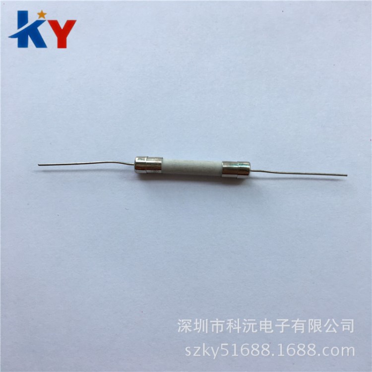 直插电磁炉保险丝 6X30mm陶瓷保险管带引线 双帽保险管 250V 1