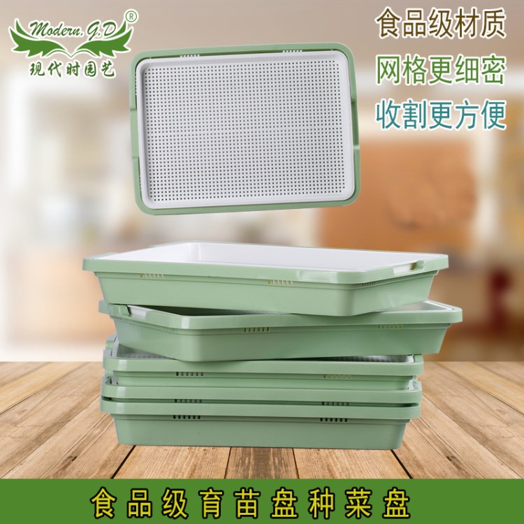 豆芽菜育苗盘纸上种菜芽苗菜小麦苗种子种植盘育苗盆托盘无土栽培