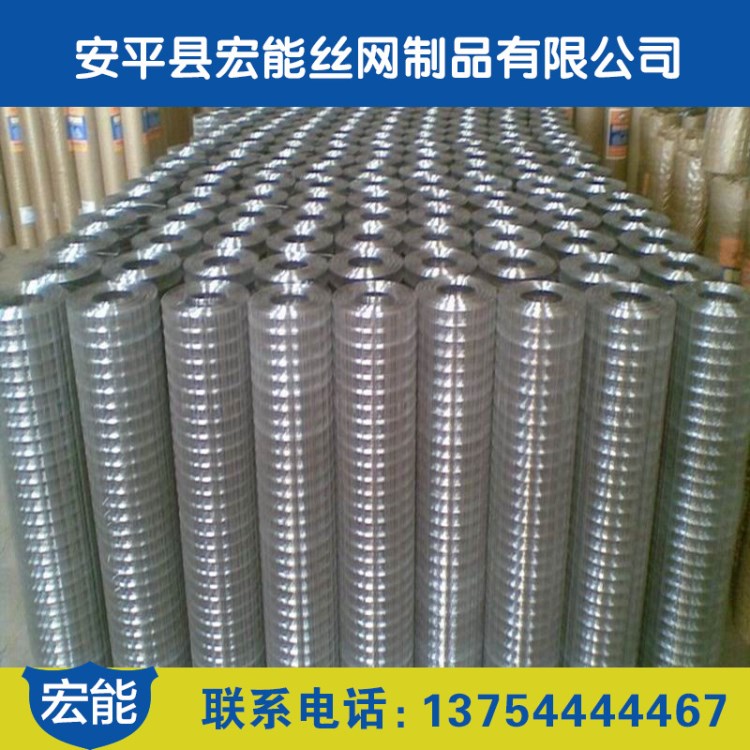 不锈钢电焊网 批发厂家现货供应镀锌丝外墙保温批荡挂网